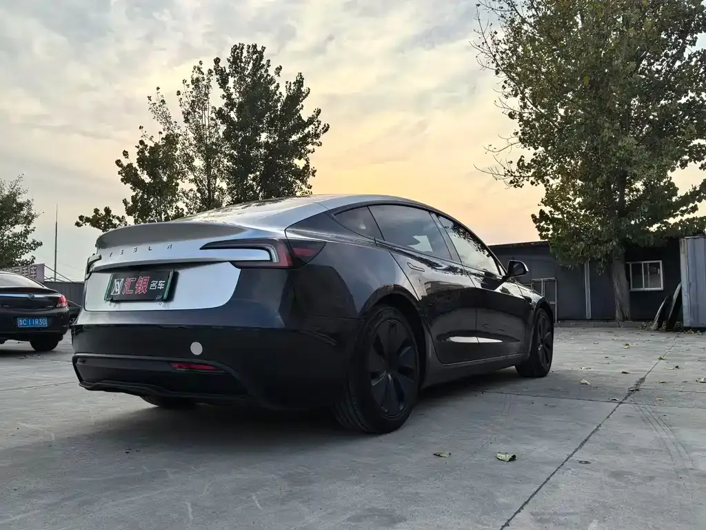 Tesla Model 3 2025 из CN, фото 6