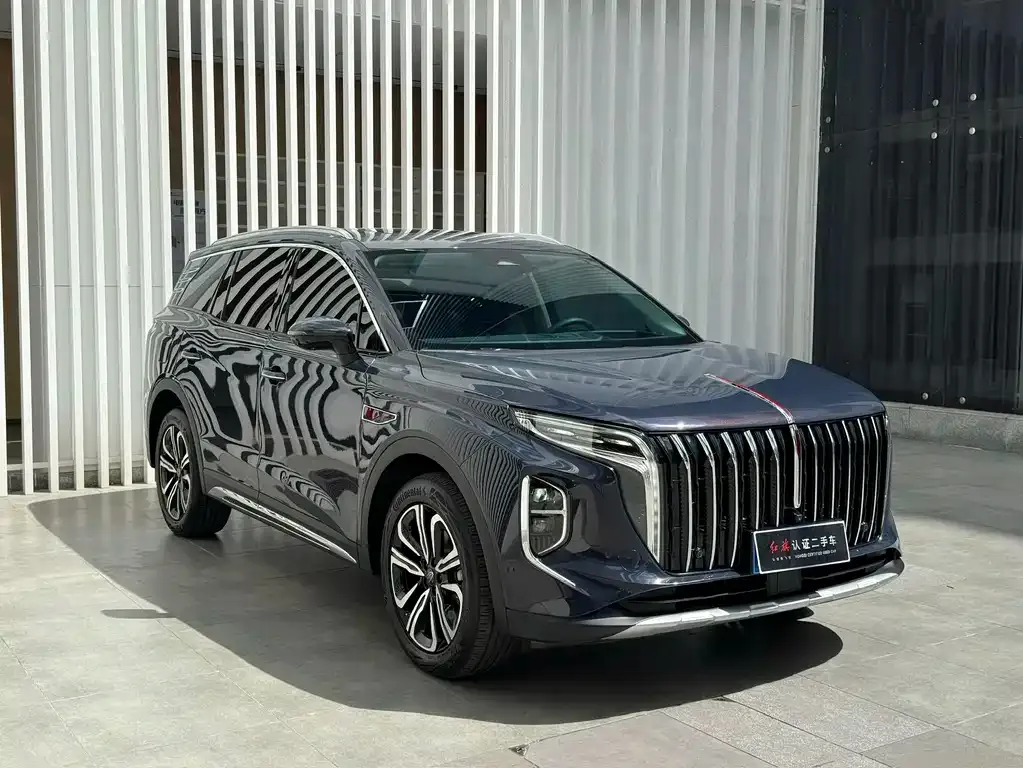 Hongqi HS7 2023 из CN, фото 3