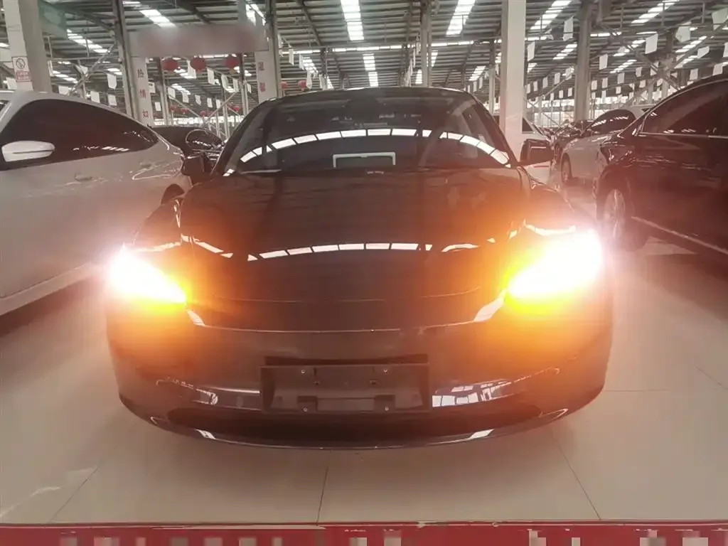 Tesla Model 3 2025 из CN, фото 3
