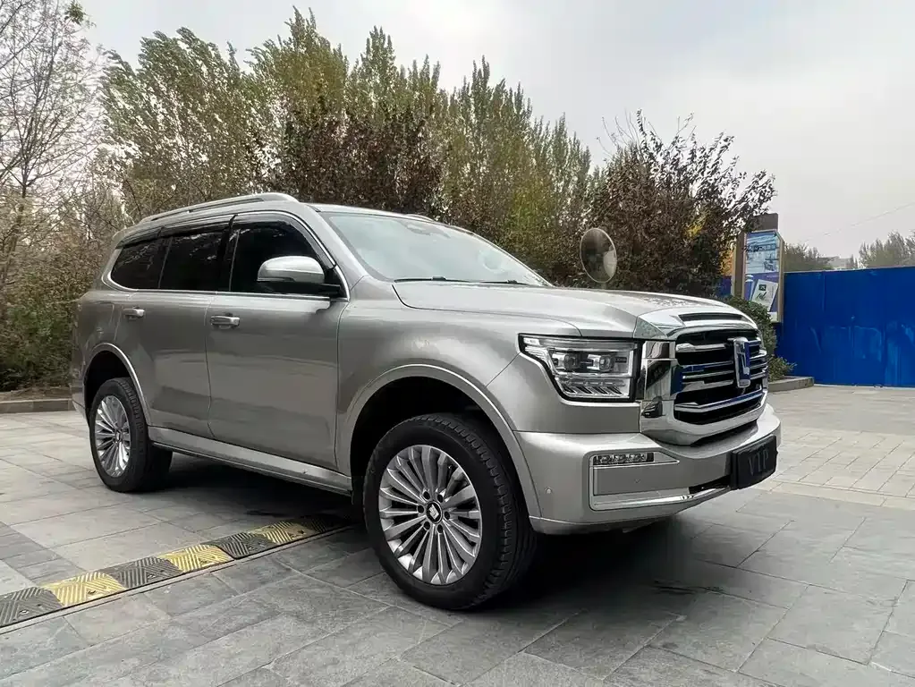 Tank 500 New Energy 2024 из CN, фото 3