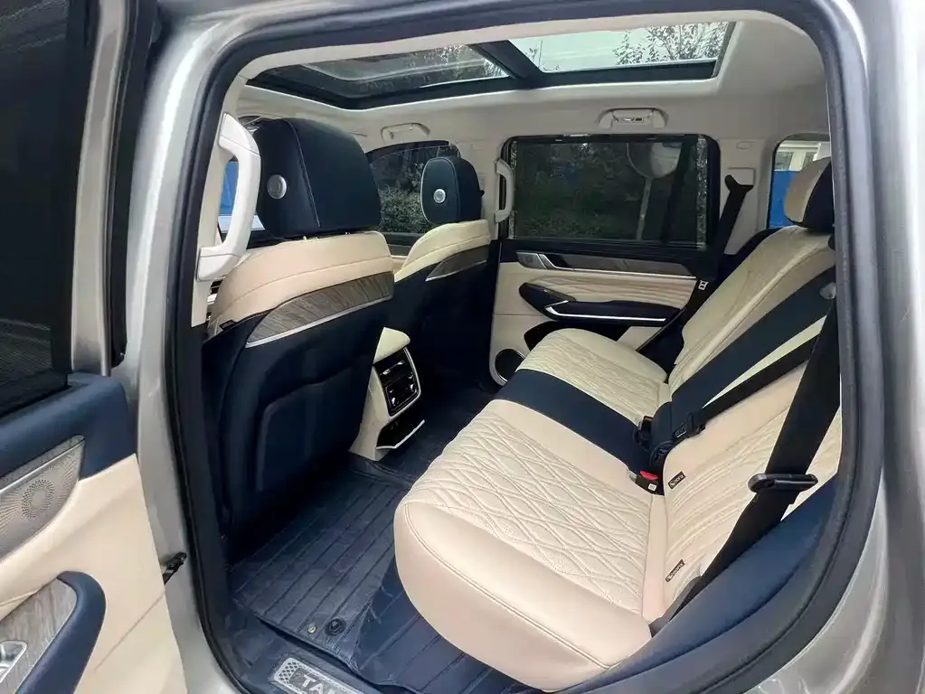 Tank 500 New Energy 2024 из CN, фото 5