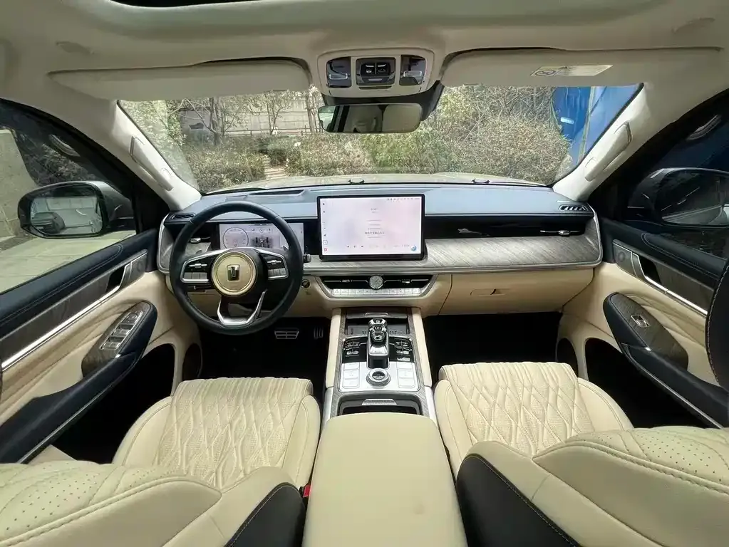 Tank 500 New Energy 2024 из CN, фото 6