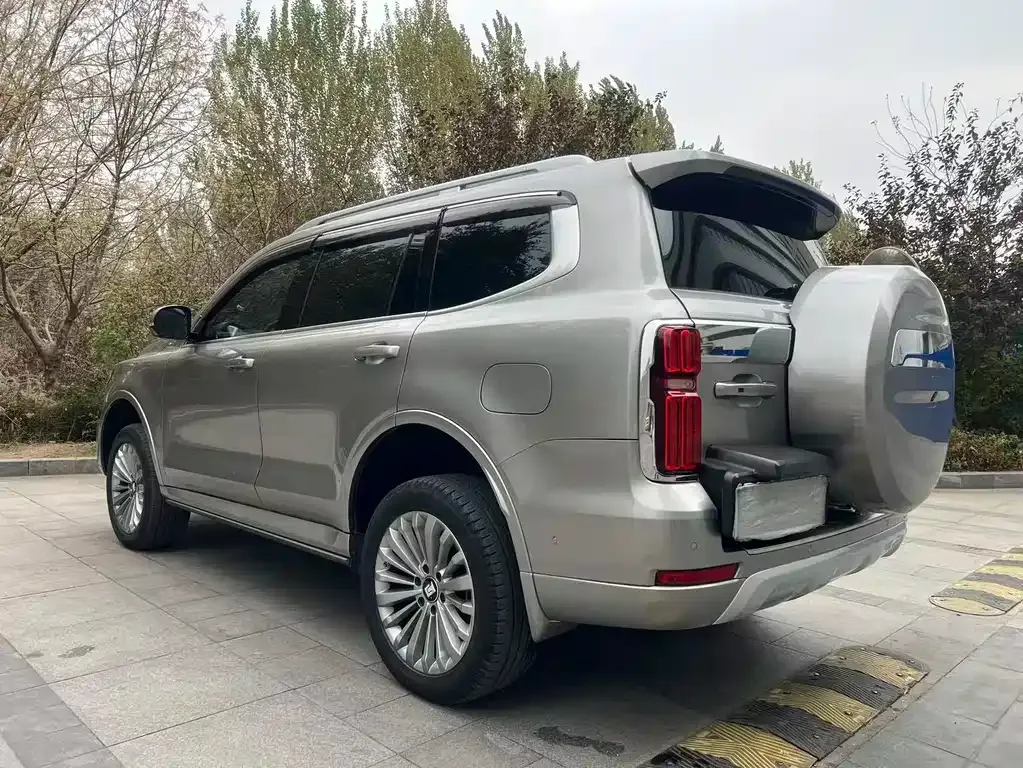 Tank 500 New Energy 2024 из CN, фото 7