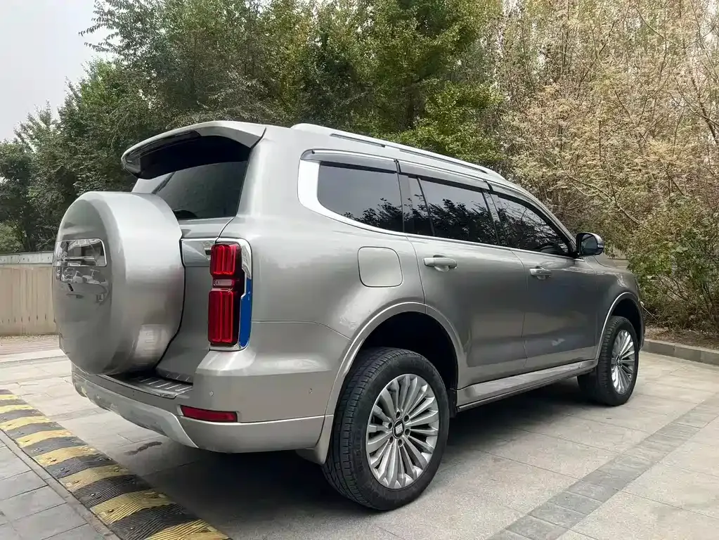 Tank 500 New Energy 2024 из CN, фото 9