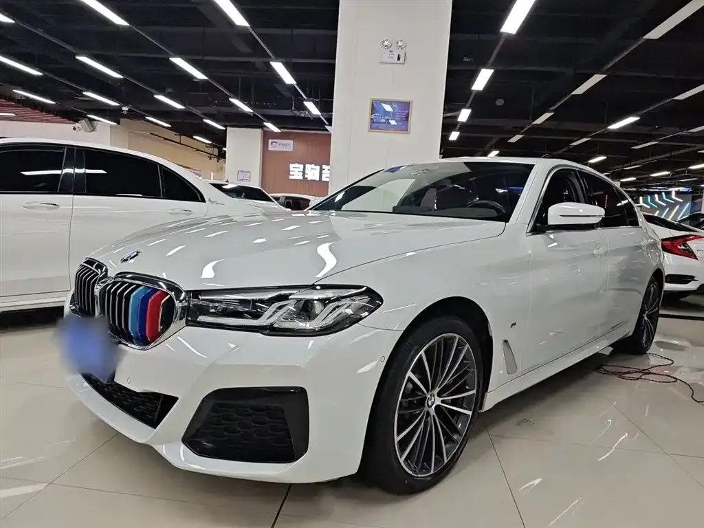 BMW 5 Series 2021 из CN, фото 1