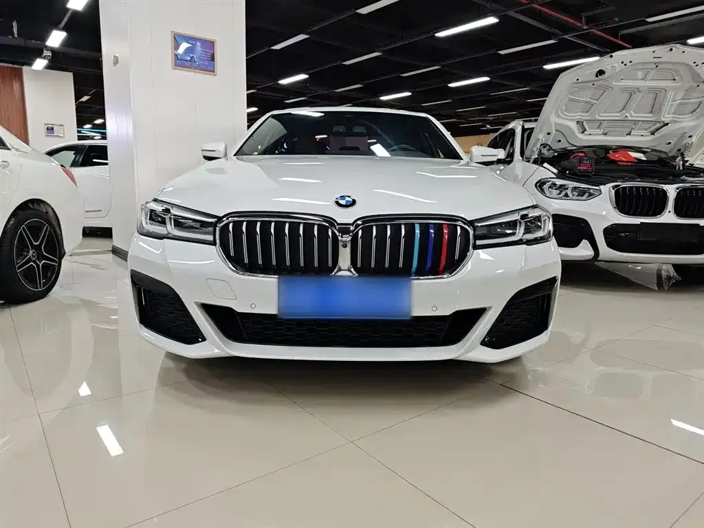 BMW 5 Series 2021 из CN, фото 3