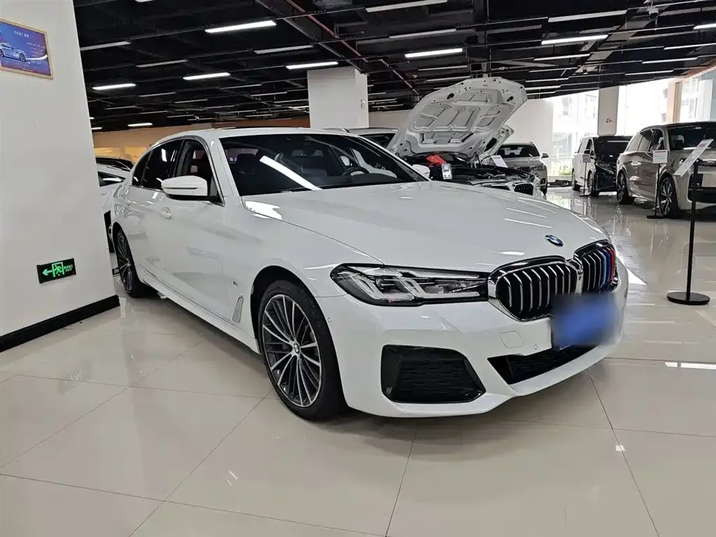 BMW 5 Series 2021 из CN, фото 4