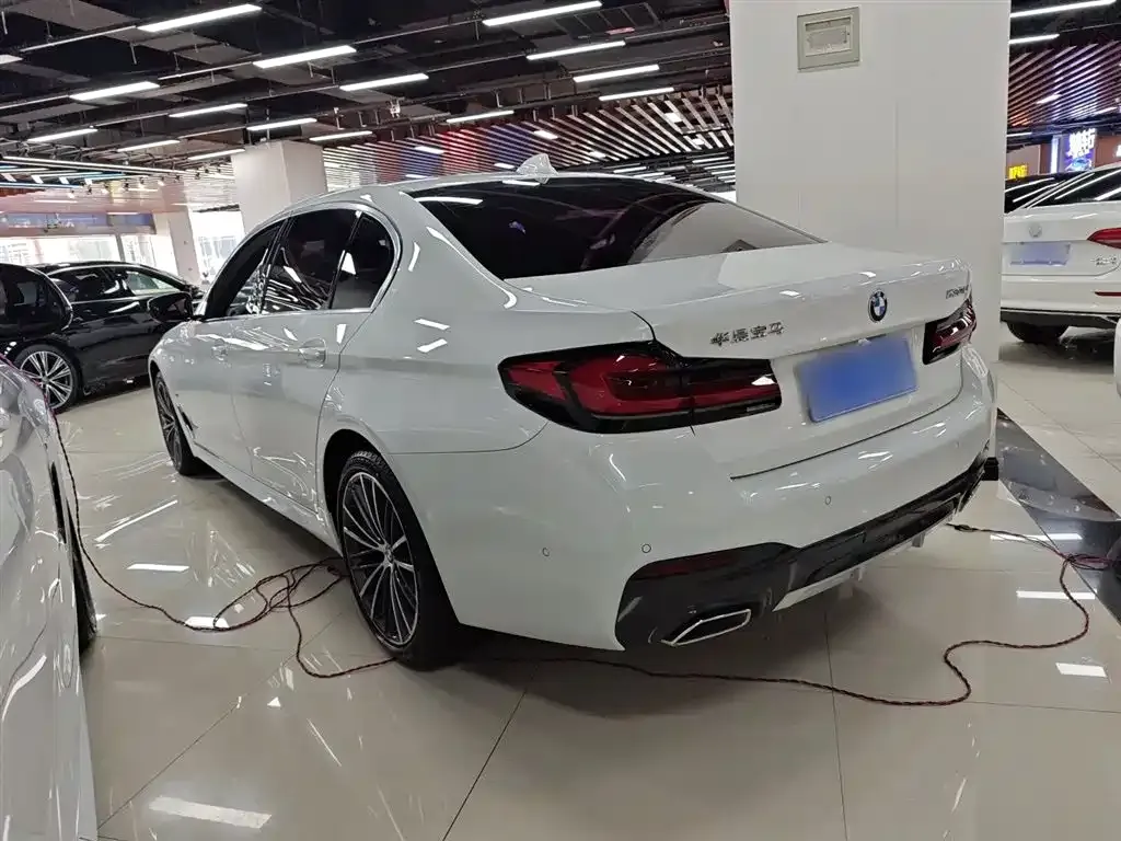 BMW 5 Series 2021 из CN, фото 5