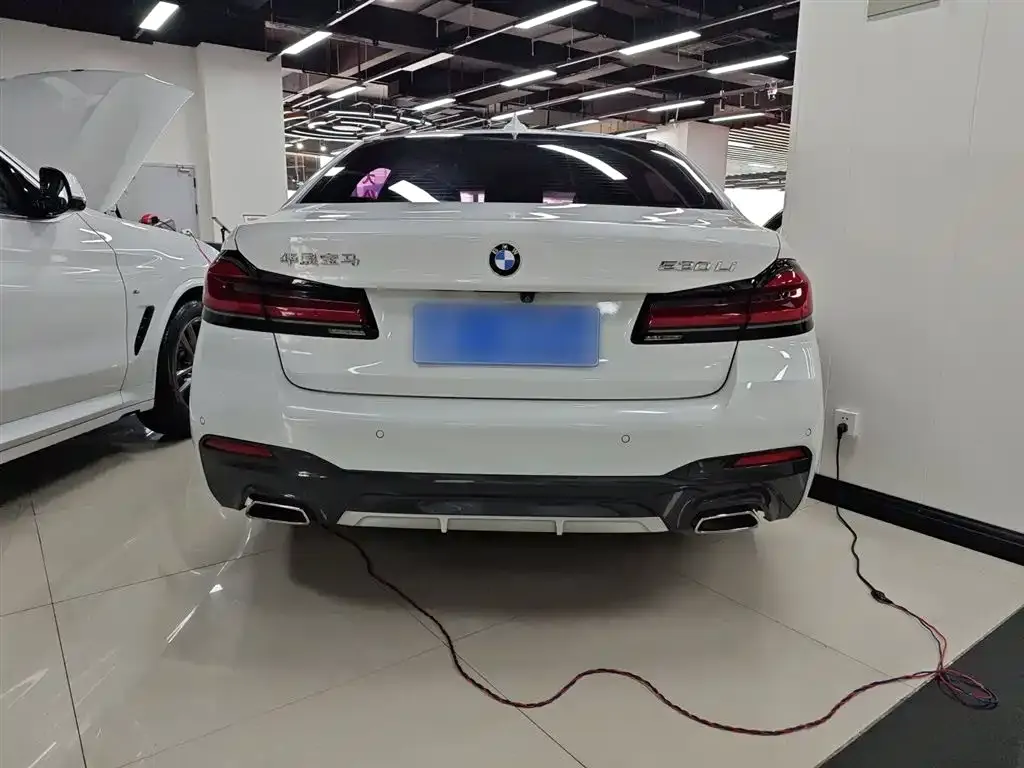 BMW 5 Series 2021 из CN, фото 6