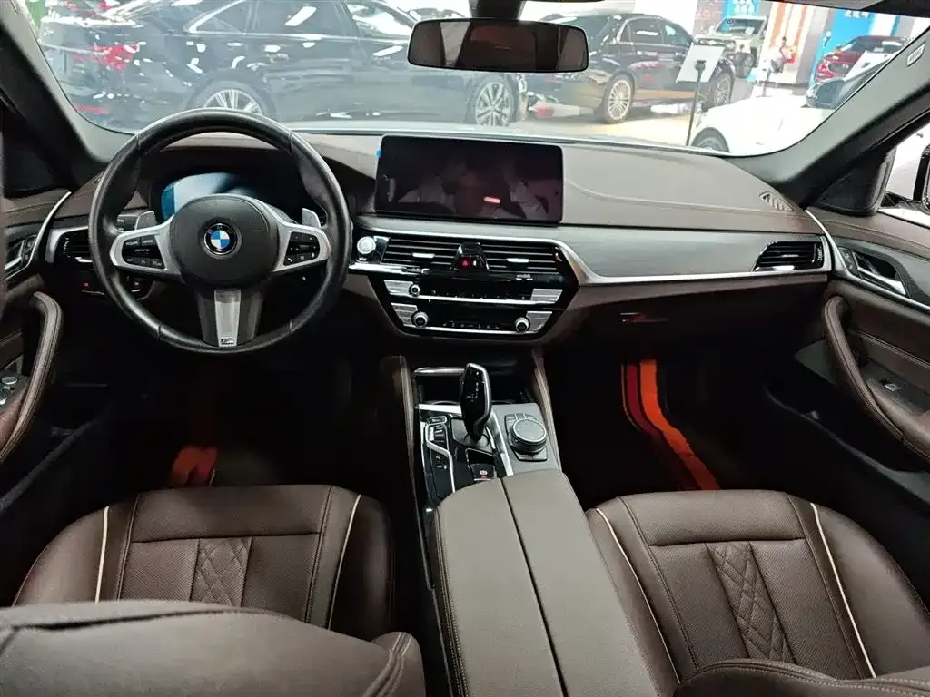 BMW 5 Series 2021 из CN, фото 9