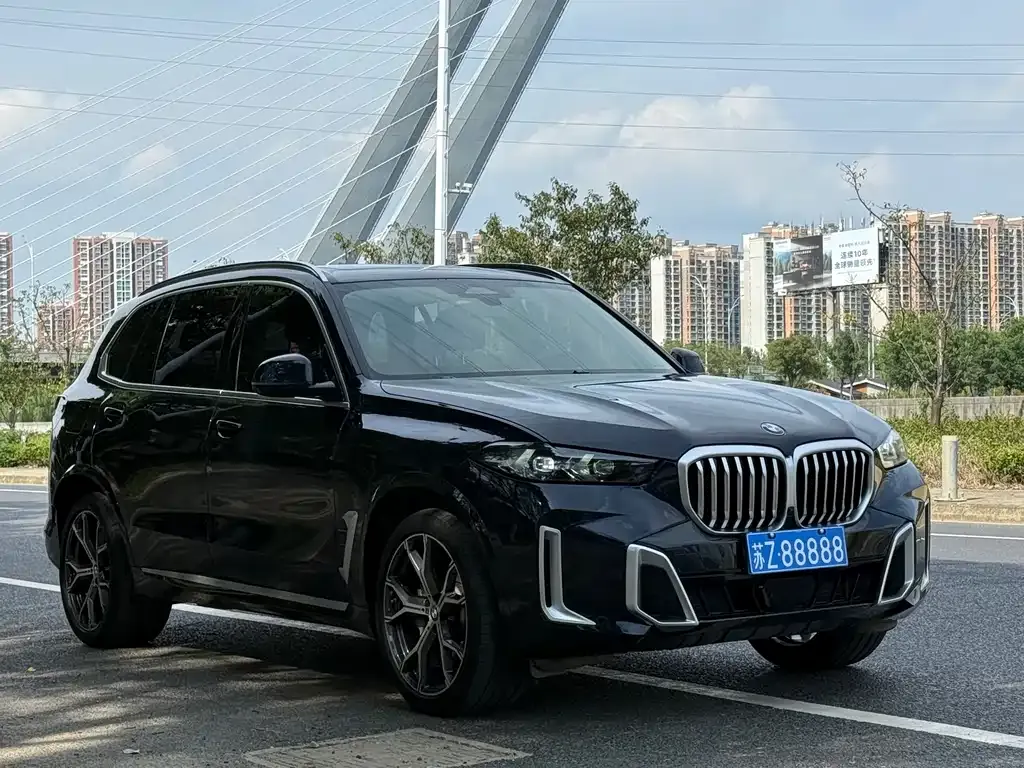 BMW X5 2024 из CN, фото 2