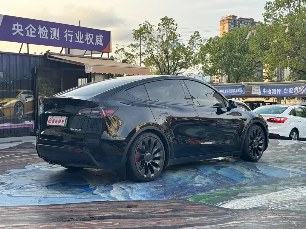Tesla Model Y 2023 из CN, фото 5