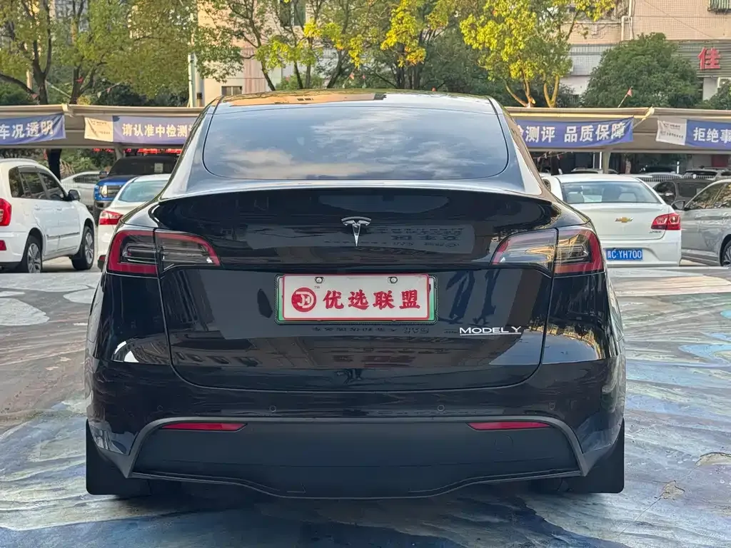 Tesla Model Y 2023 из CN, фото 6