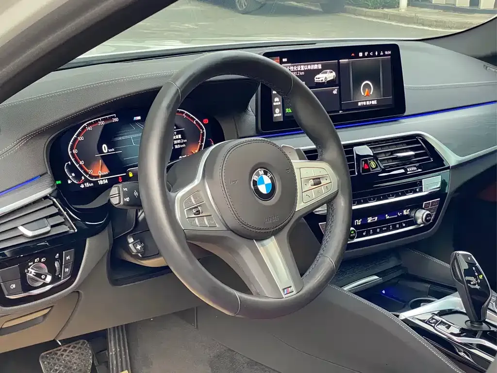 BMW 5 Series 2023 из CN, фото 10
