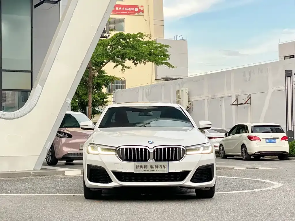 BMW 5 Series 2023 из CN, фото 3