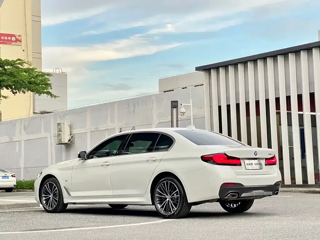 BMW 5 Series 2023 из CN, фото 4