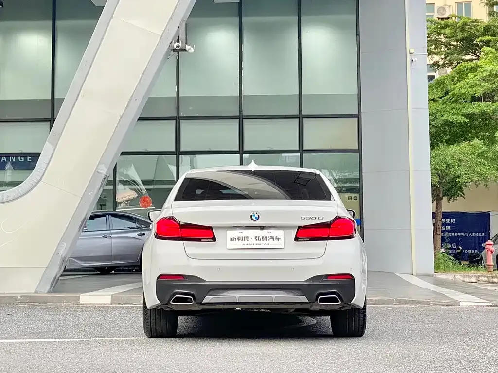 BMW 5 Series 2023 из CN, фото 5