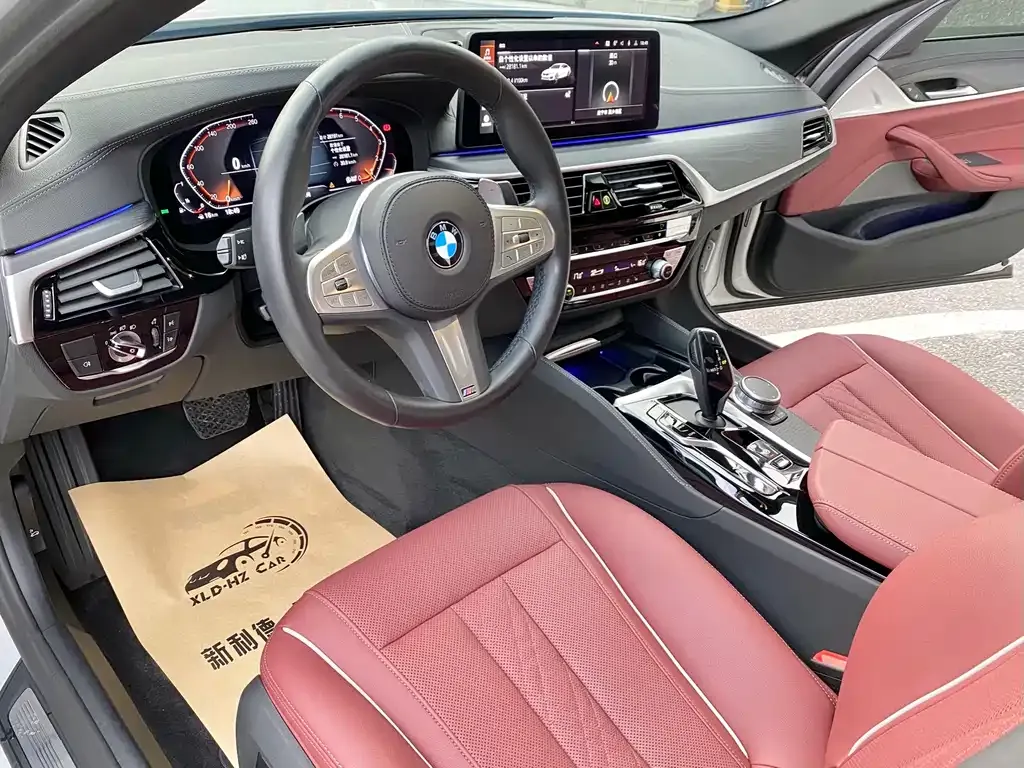 BMW 5 Series 2023 из CN, фото 9