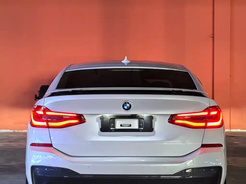 BMW 6 Series GT 2022 из CN, фото 10