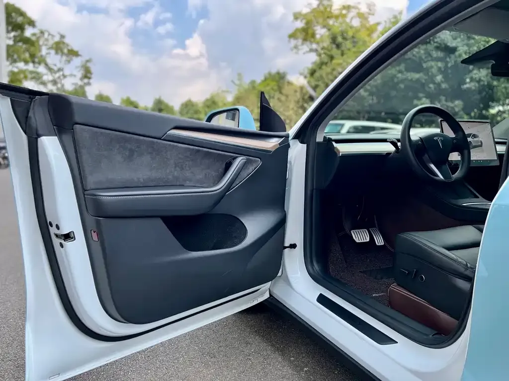 [object Object] Model Y 2021 из CN, фото 10