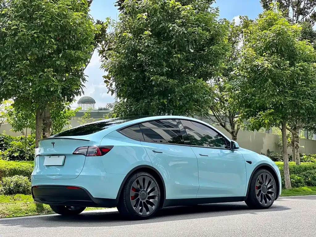 [object Object] Model Y 2021 из CN, фото 3