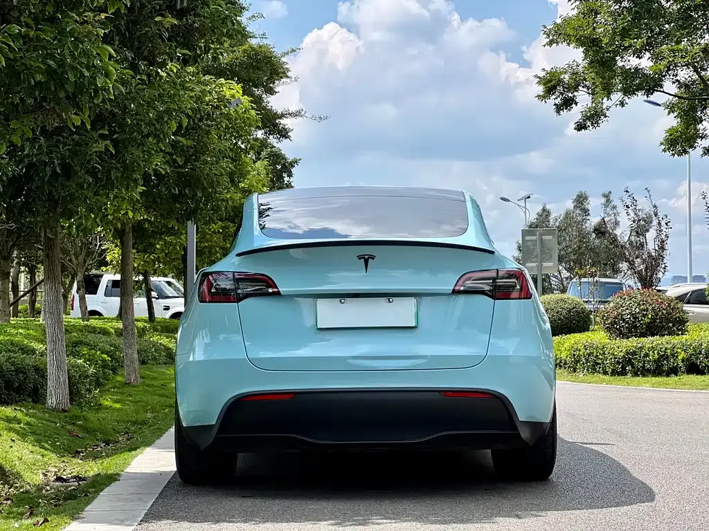 [object Object] Model Y 2021 из CN, фото 4