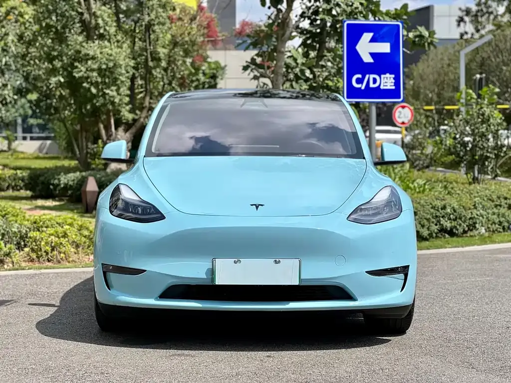 [object Object] Model Y 2021 из CN, фото 8