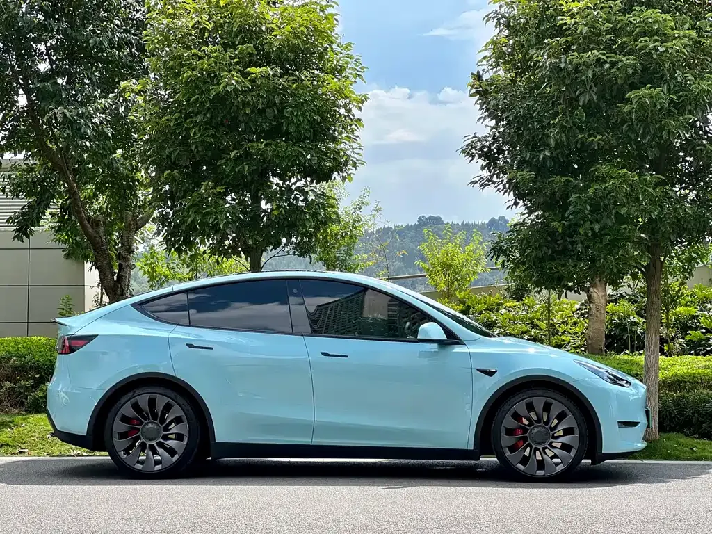 [object Object] Model Y 2021 из CN, фото 9