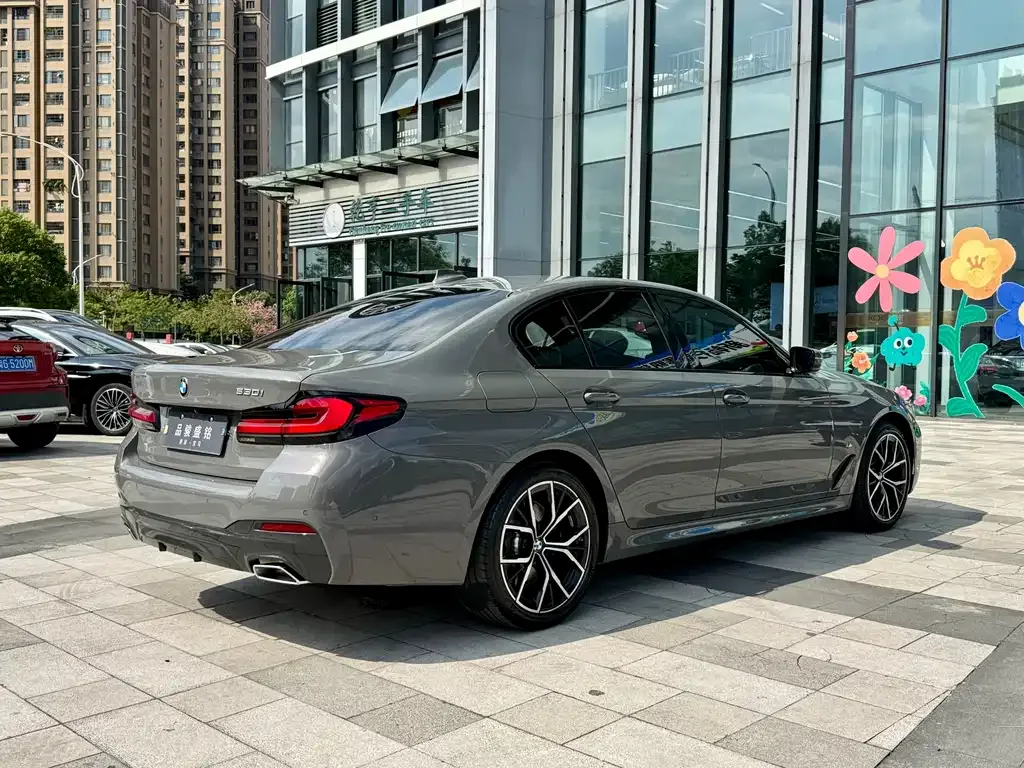 BMW 5 Series (Import) 2022 из CN, фото 7