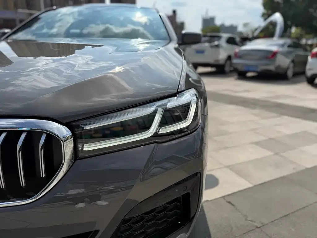 BMW 5 Series (Import) 2022 из CN, фото 8