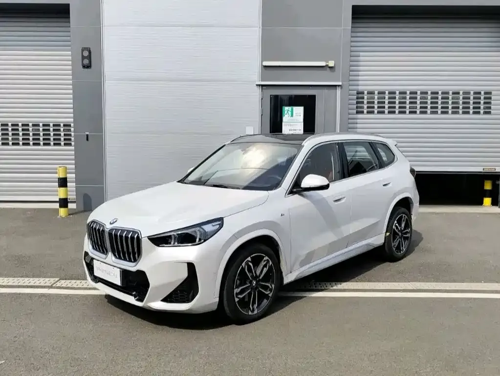 BMW X1 2024 из CN, фото 2