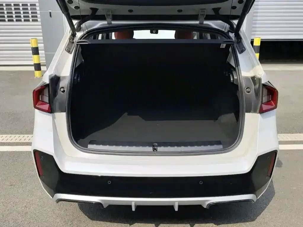 BMW X1 2024 из CN, фото 6