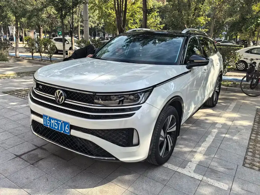Volkswagen Tavendor 2023 из CN, фото 1