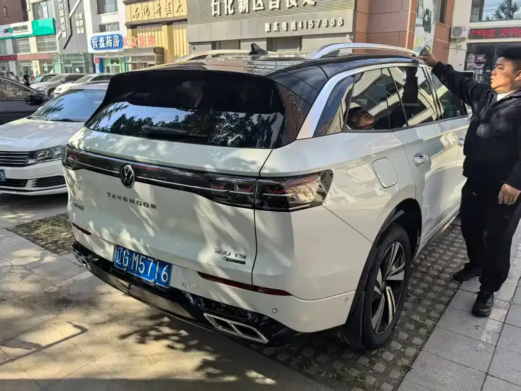 Volkswagen Tavendor 2023 из CN, фото 8