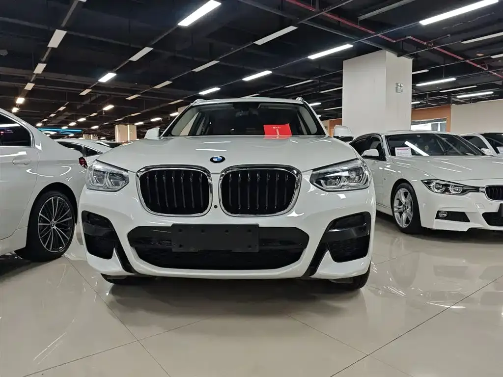 BMW X3 2021 из CN, фото 3