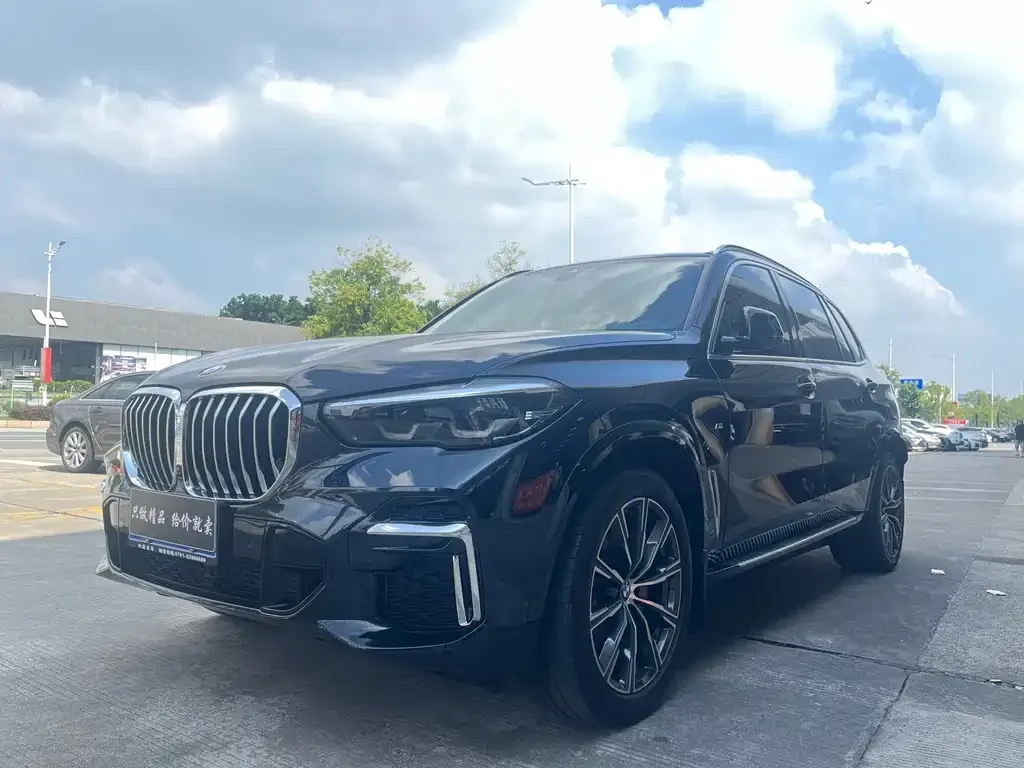 BMW X5 2023 из CN, фото 1