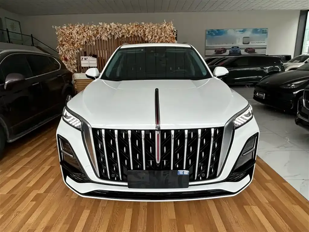 Hongqi HS5 2023 из CN, фото 3