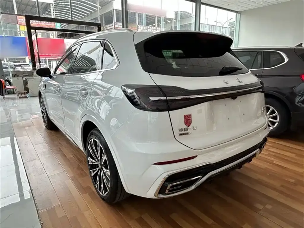 Hongqi HS5 2023 из CN, фото 5
