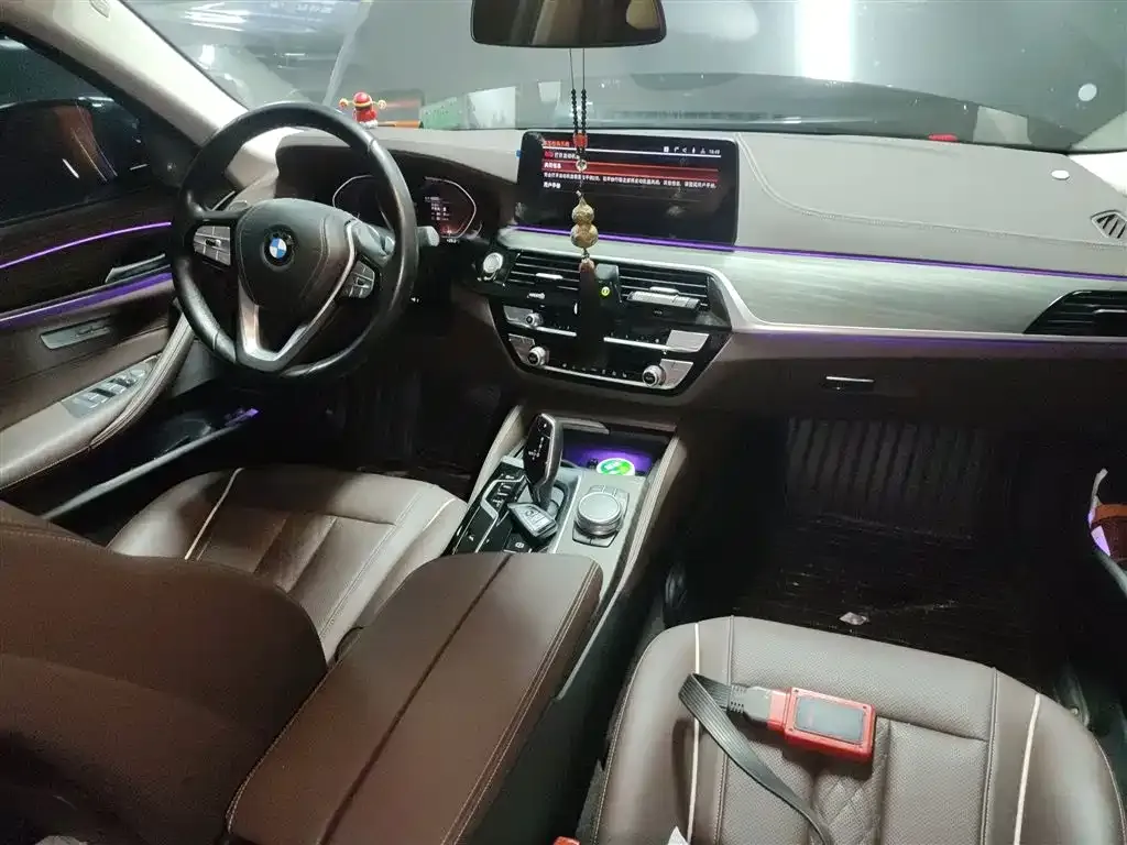 BMW 5 Series 2022 из CN, фото 10