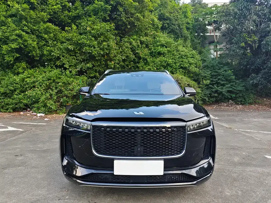 Li Auto ONE 2021 из CN, фото 6