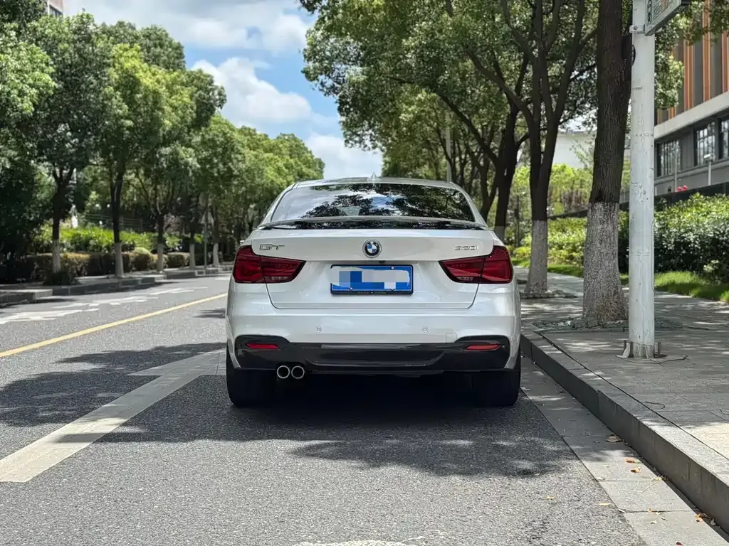 BMW 3 Series GT 2021 из CN, фото 4