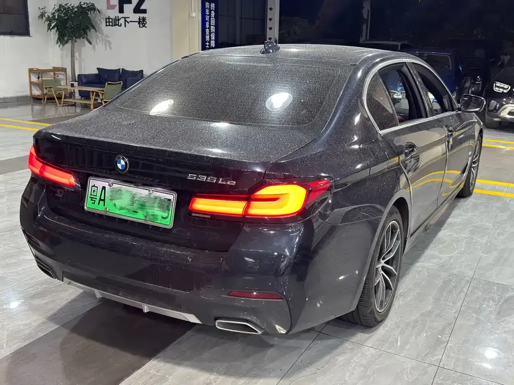 BMW 5 Series New Energy 2021 из CN, фото 10