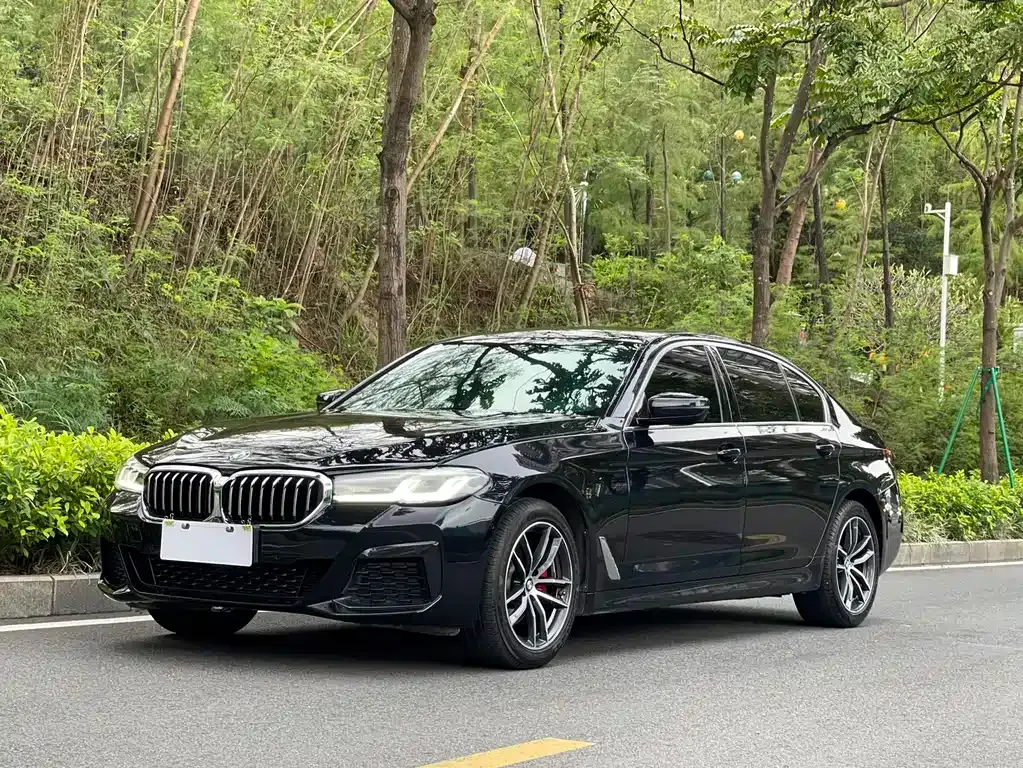 BMW 5 Series — фото 1