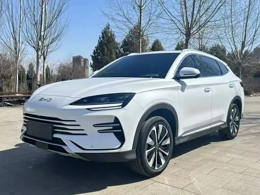 BYD PLUS New Energy 2024 из CN, фото 2