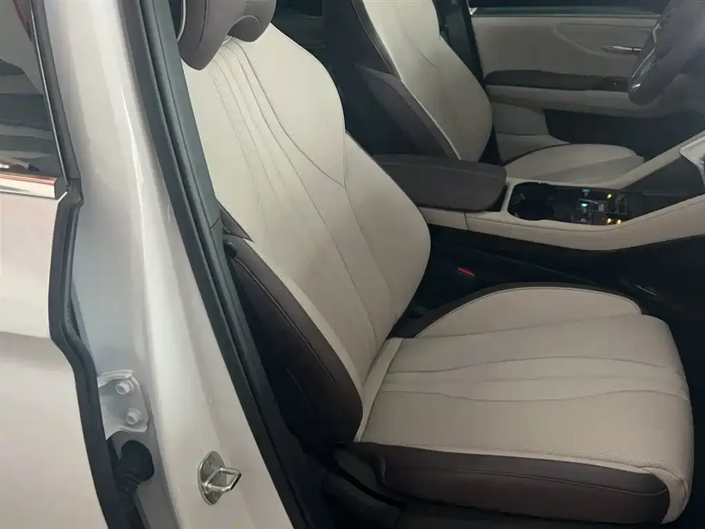 BYD PLUS New Energy 2024 из CN, фото 3
