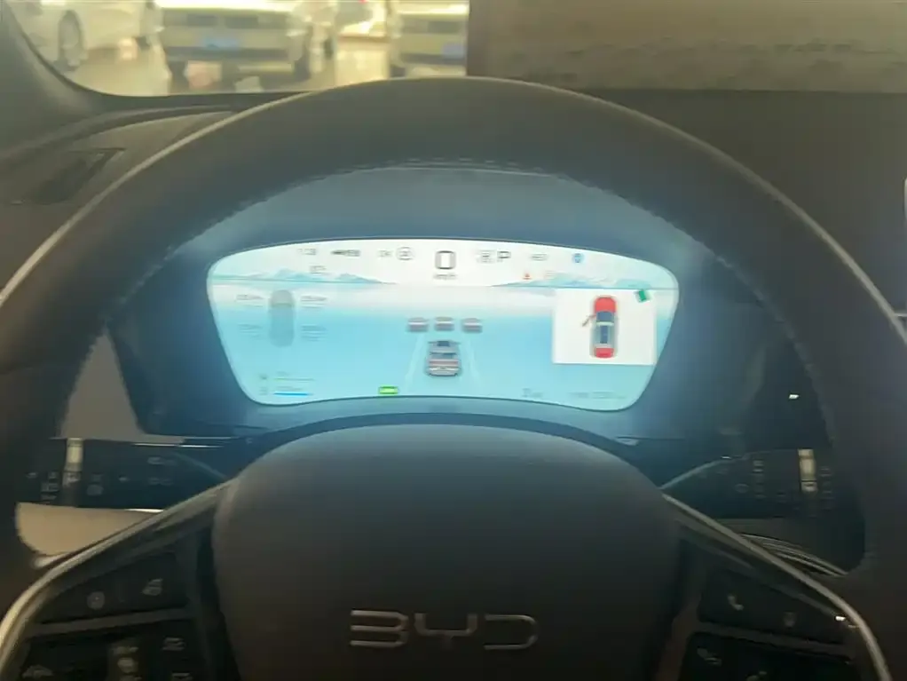 BYD PLUS New Energy 2024 из CN, фото 5