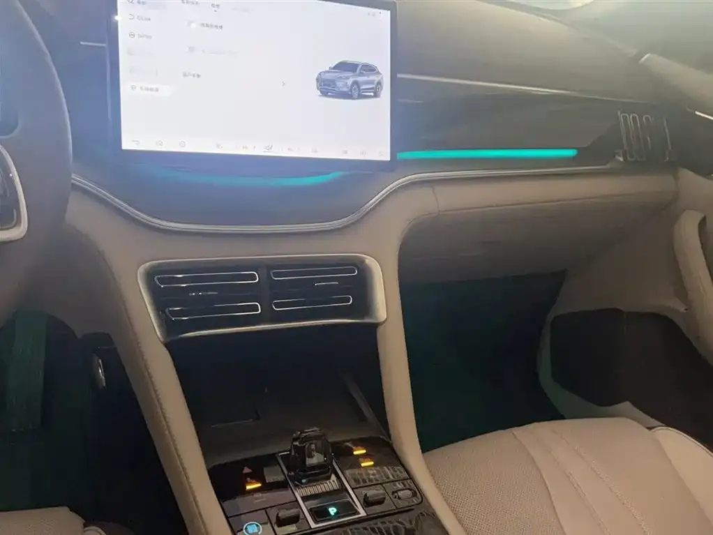 BYD PLUS New Energy 2024 из CN, фото 7