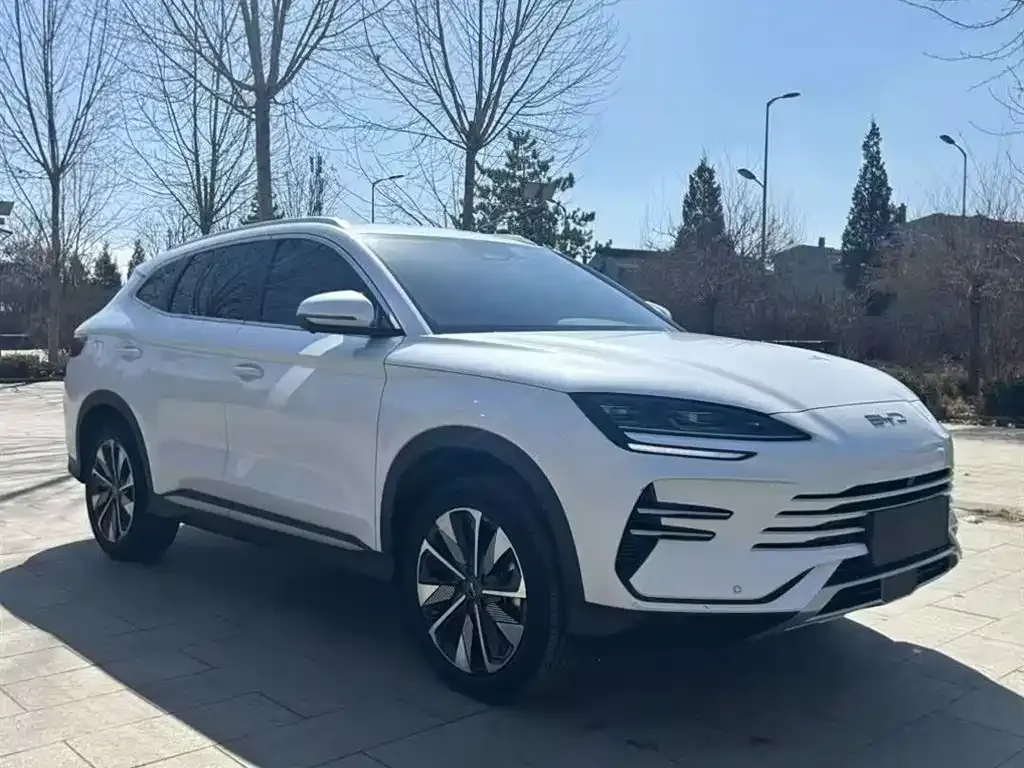 BYD PLUS New Energy 2024 из CN, фото 8