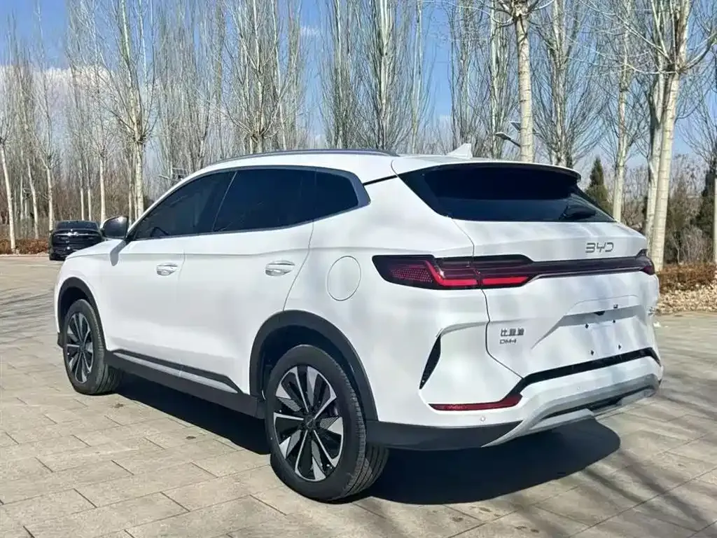 BYD PLUS New Energy 2024 из CN, фото 9