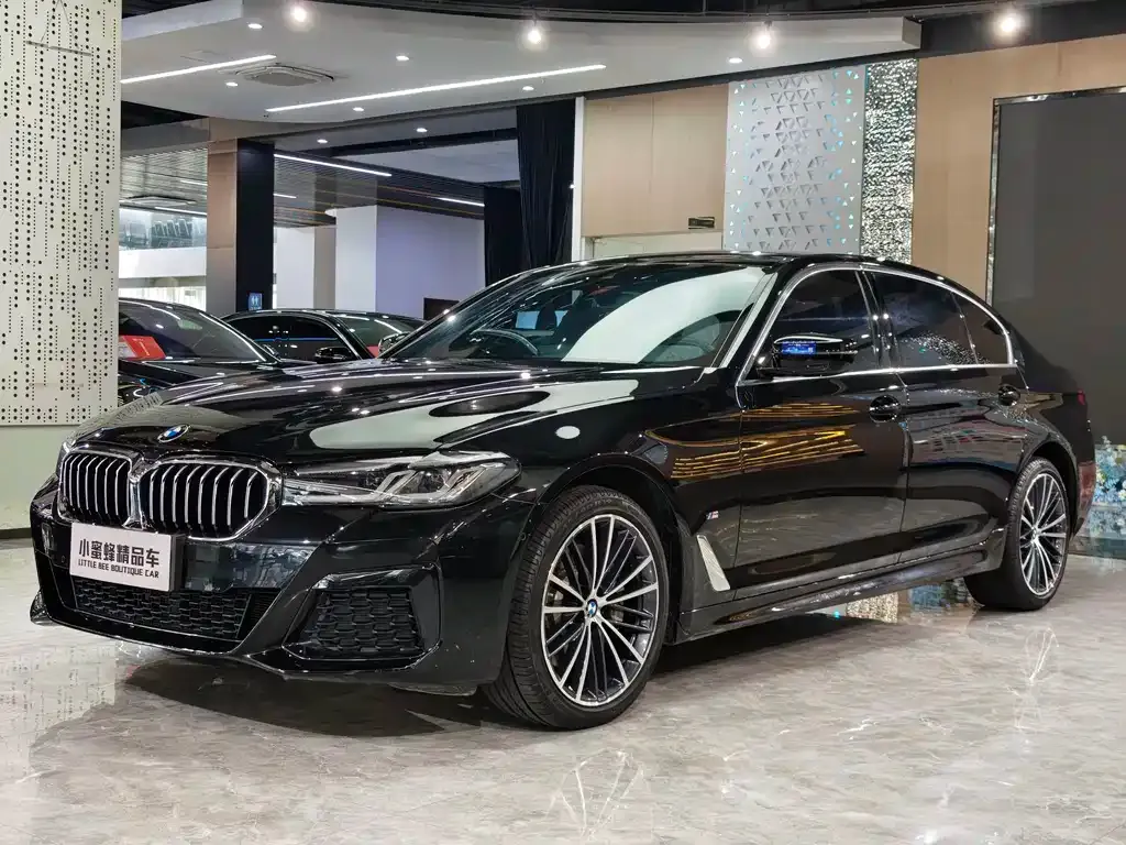 BMW 5 Series 2022 из CN, фото 1